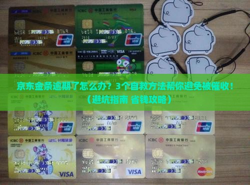京东金条逾期了怎么办呀