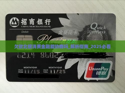欠款北银消费金融能协商吗