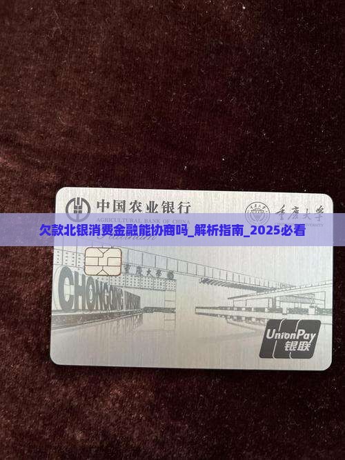 欠款北银消费金融能协商吗