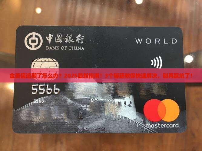 金美信逾期了怎么办金美信逾期了怎么办