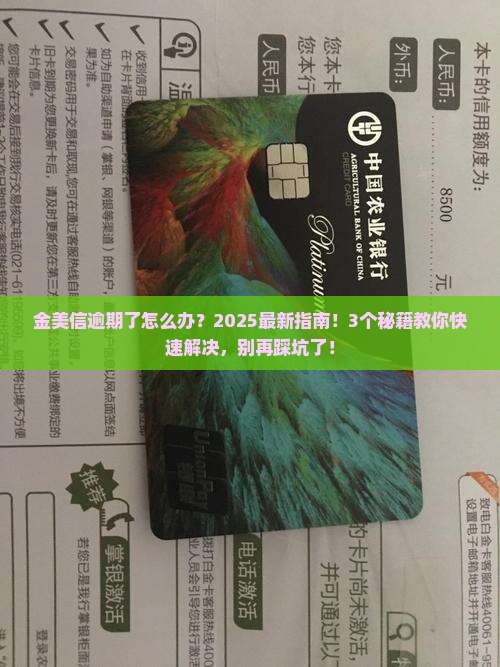 金美信逾期了怎么办金美信逾期了怎么办