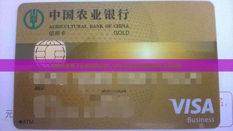 拍拍贷逾期后能否协商分期还款