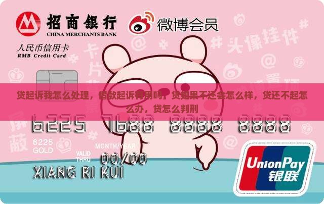 现金贷起诉我怎么处理