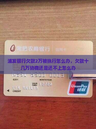浦发银行欠款2万被执行怎么办