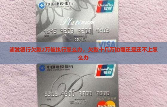 浦发银行欠款2万被执行怎么办