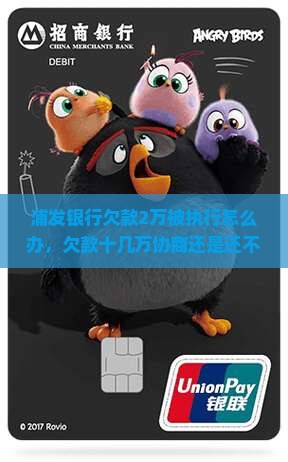 浦发银行欠款2万被执行怎么办