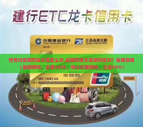 任性付逾期罚息太高怎么办