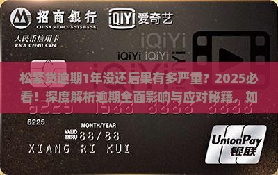 松紧贷逾期1年没还会有什么后果