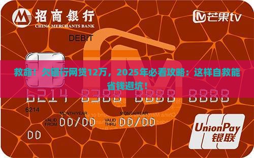 银行网贷欠款12万无力偿还怎么办