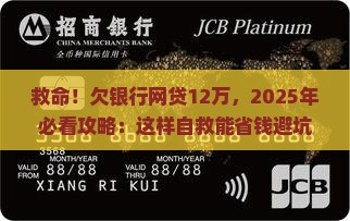 银行网贷欠款12万无力偿还怎么办