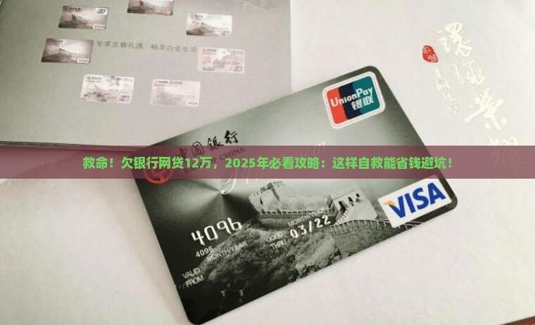 银行网贷欠款12万无力偿还怎么办