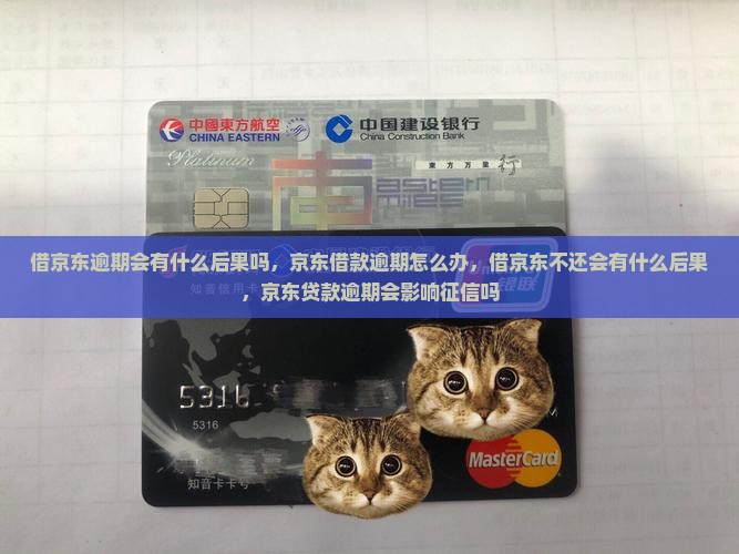 借京东白条逾期会有什么后果