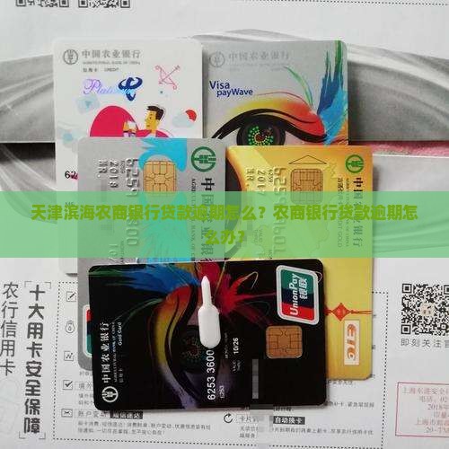 天津滨海农商银行贷款逾期怎么办理