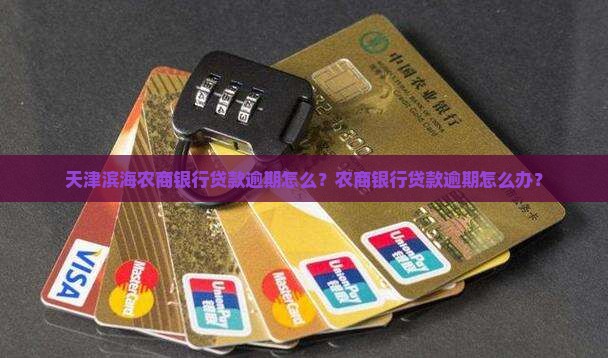 天津滨海农商银行贷款逾期怎么办理
