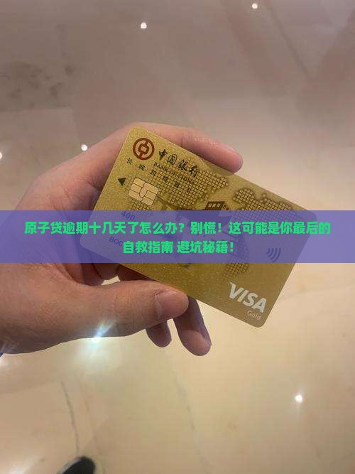 原子贷逾期十几天了怎么办