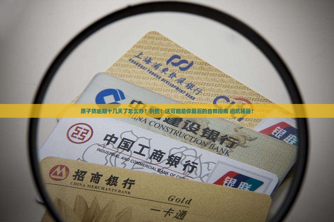 原子贷逾期十几天了怎么办