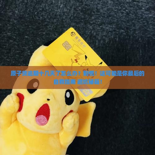 原子贷逾期十几天了怎么办