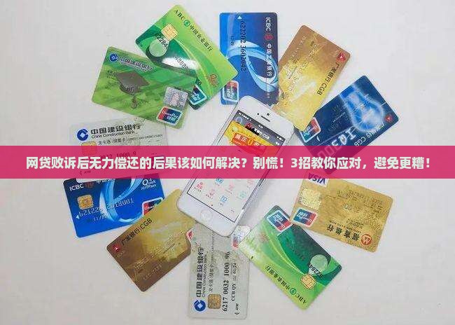 网贷败诉后无力偿还的后果该如何解决