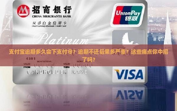 支付宝逾期多久会下支付令啊