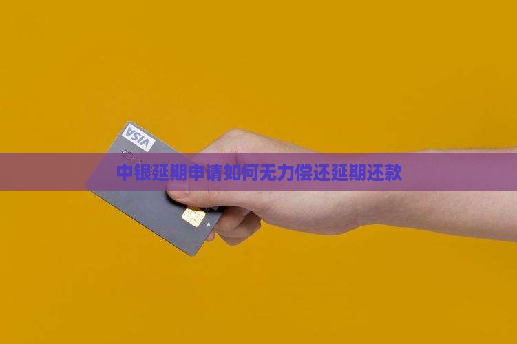中银e贷无力偿还怎么延期还款方式