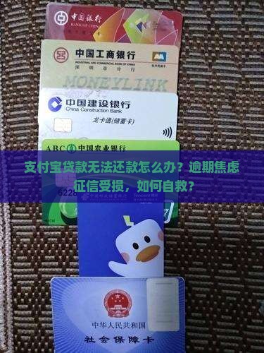 支付宝贷款无法还款怎么办