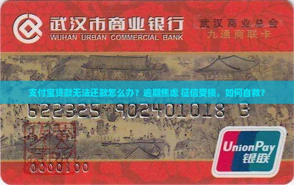 支付宝贷款无法还款怎么办