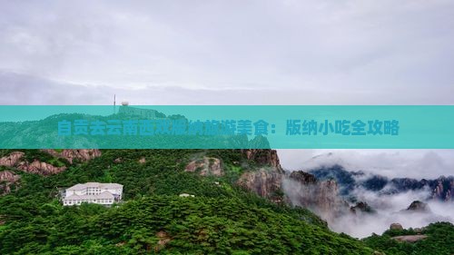 自贡去云南西双版纳旅游小吃