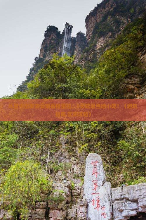 晋中去云南香格里拉旅游小吃