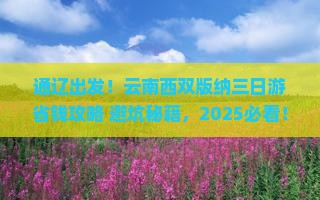 通辽去云南西双版纳三日游