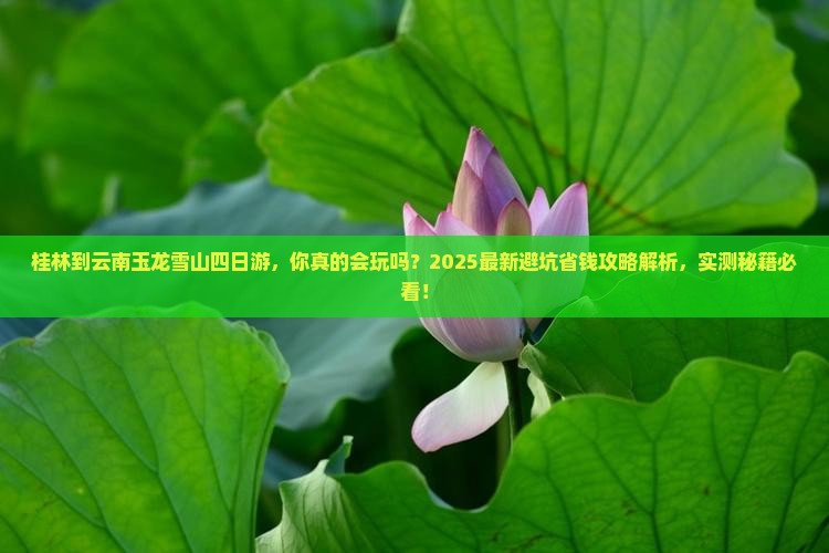 桂林到云南玉龙雪山四日游