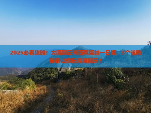 大同到云南西双版纳一日