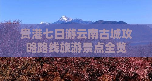 贵港到云南古城七日游