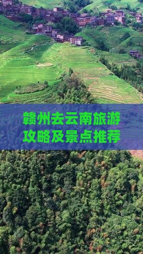 赣州去云南景点