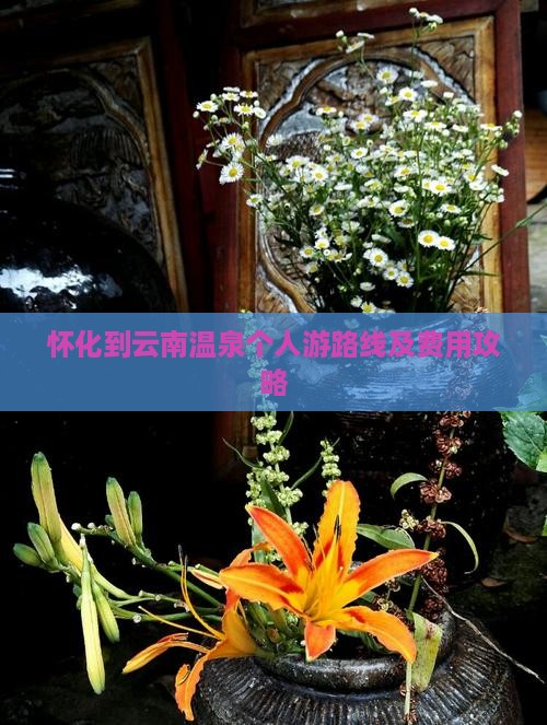怀化到云南温泉个人游