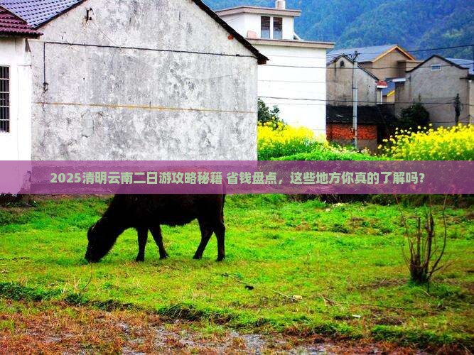 清明节去云南二日游