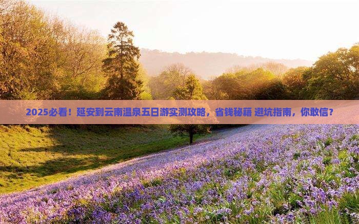 延安到云南温泉五日游