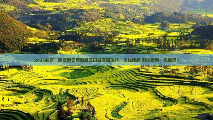延安到云南温泉五日游