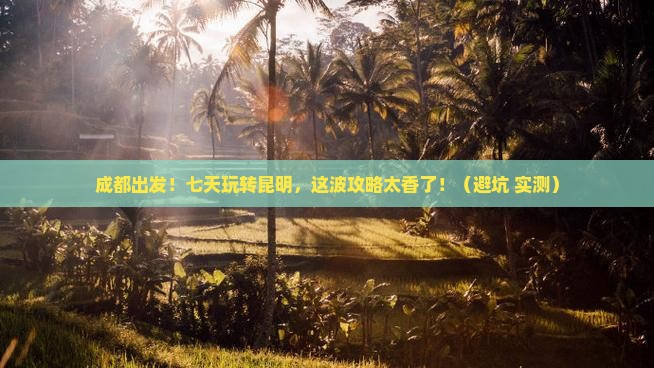 成都到云南昆明七日游