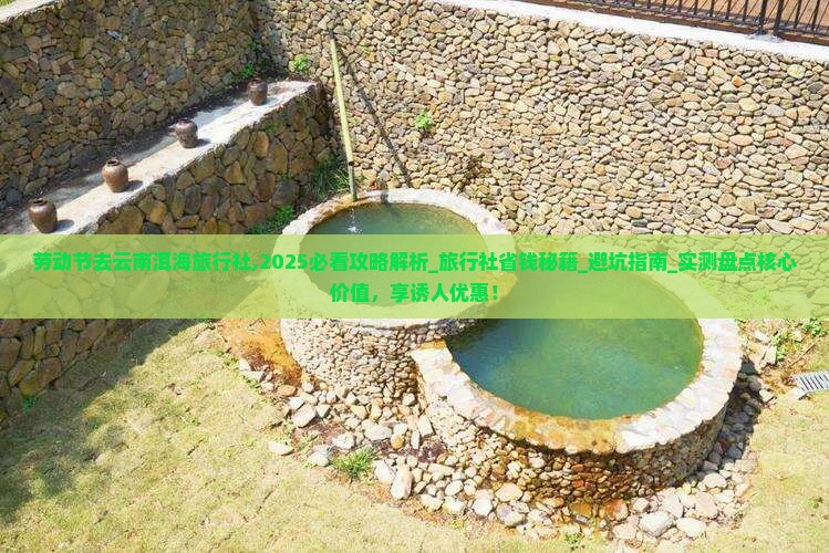 劳动节去云南洱海旅行社