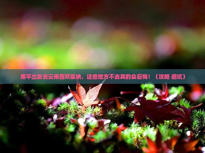 南平去云南西双版纳必去地