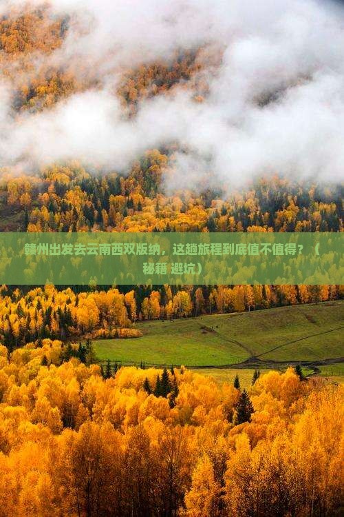 赣州去云南西双版纳旅游