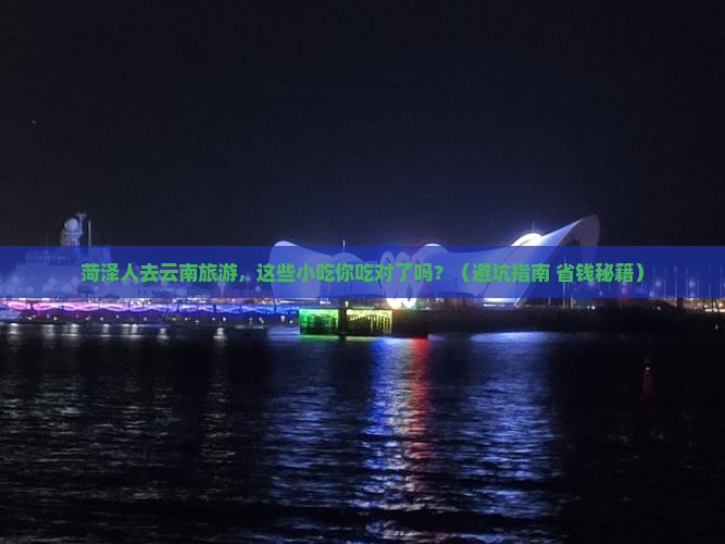 菏泽去云南旅游小吃