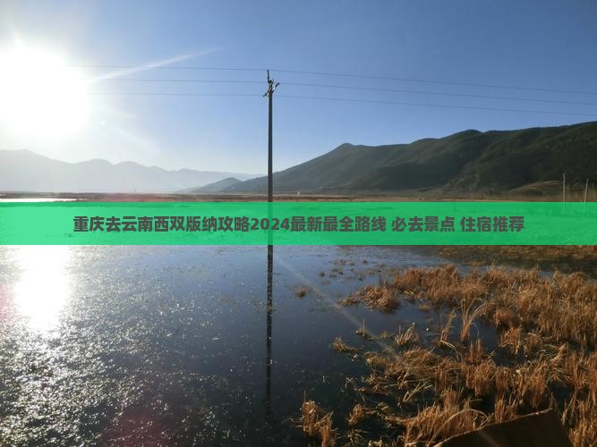 重庆去云南西双版纳攻略