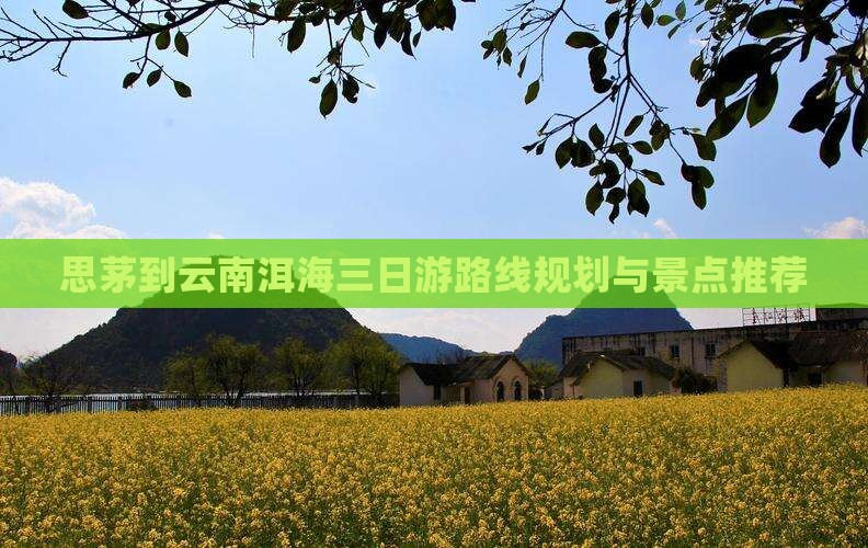 思茅到云南洱海三日游