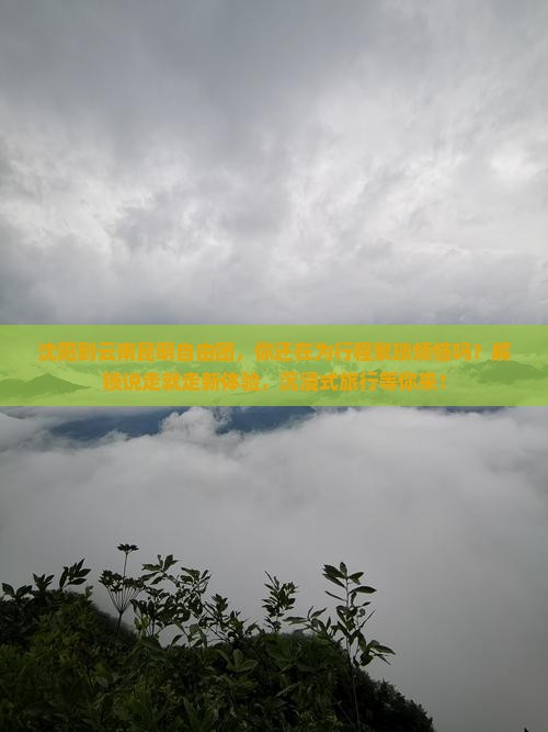 沈阳到云南昆明自由团