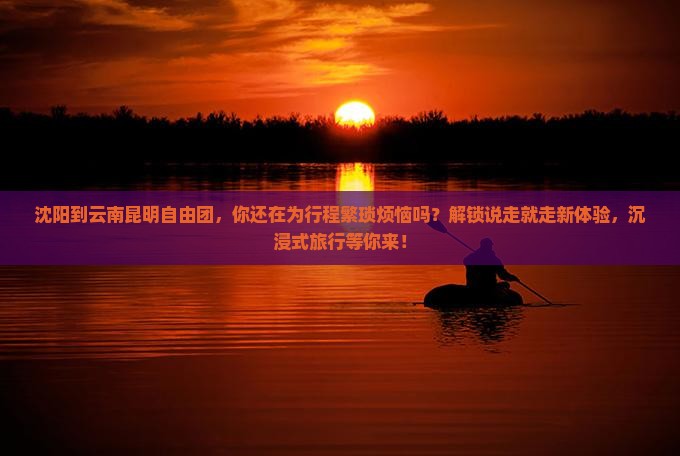 沈阳到云南昆明自由团