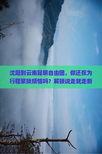 沈阳到云南昆明自由团