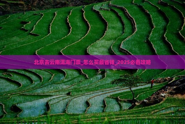 北京去云南洱海门票