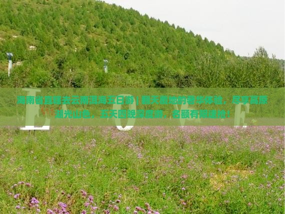 海南省直辖去云南洱海五日游