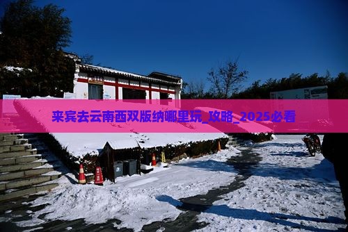 来宾去云南西双版纳哪里玩